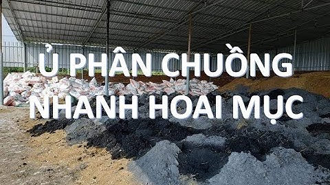 CÁCH Ủ PHÂN CHUỒNG HOAI MỤC NHANH - HIỆU QUẢ HƠN TRICHODERMA | CPSH HLC