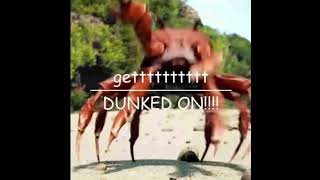 Crab Ravealovania Extended Version