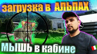 #34 Загрузка в Альпах! Мышь в кабине!