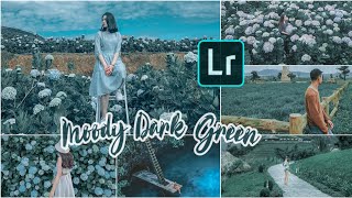 Moody Dark Green Preset Free Lightroom Presets 22