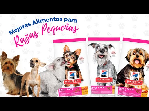 Video: El mejor alimento para mascotas para perros pequeños