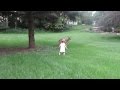 Little Girl Plays with Fawn