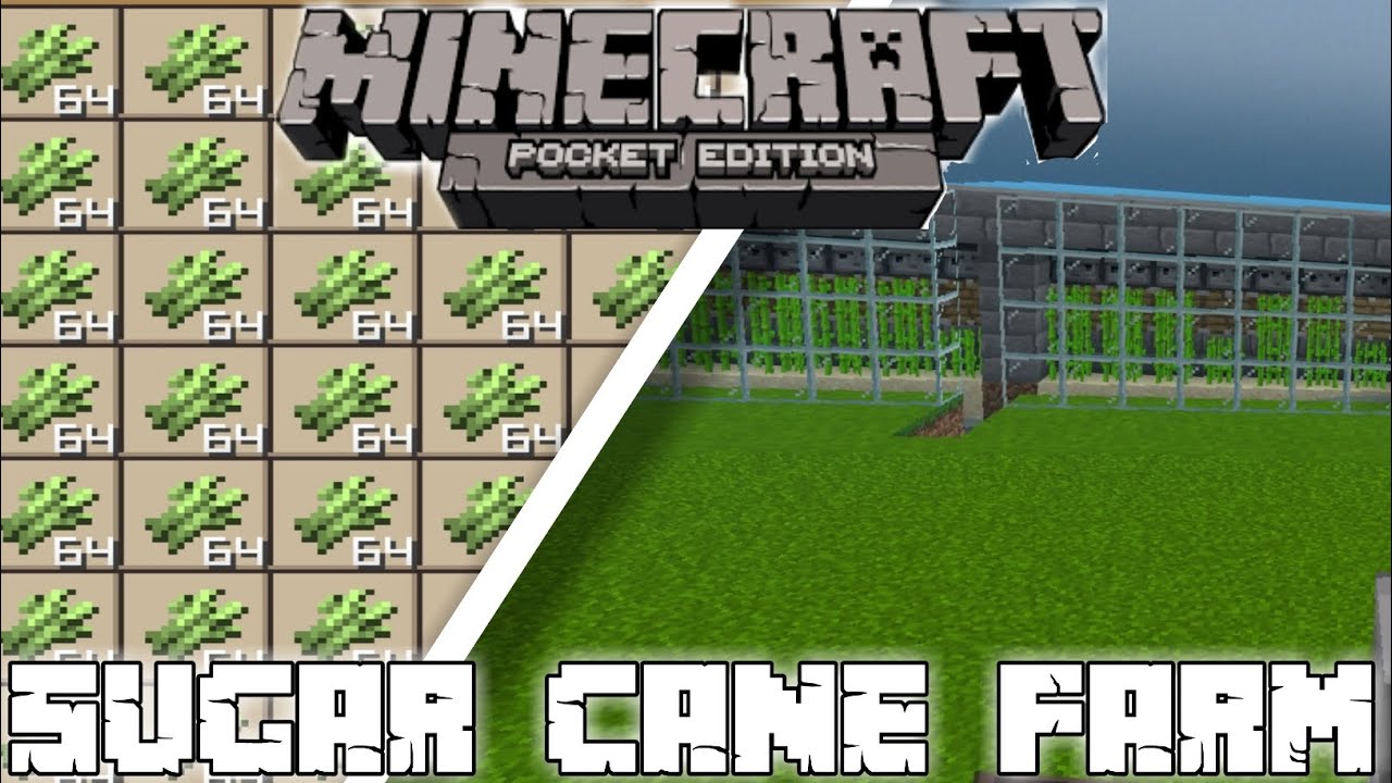 HOW TO MAKE SUGAR CANE FARM IN MINECRAFT POCKET EDITION - YouTube