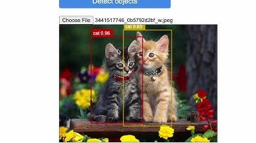 tensorflowjs  and javascript image recognition with cocco ssd