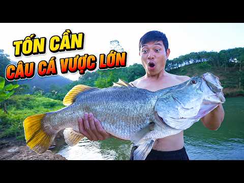 Trận Chiến Nghẹt Thở: Bị Cá Vược Khủng Kéo Ra Tận Giữa Hồ, Đứt Mấy Lưỡi Câu Mới Bắt Được!