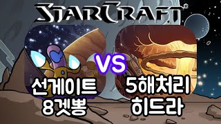 폴리포이드 프저전 선게이트 8겟뽕 vs 5해처리 히드라