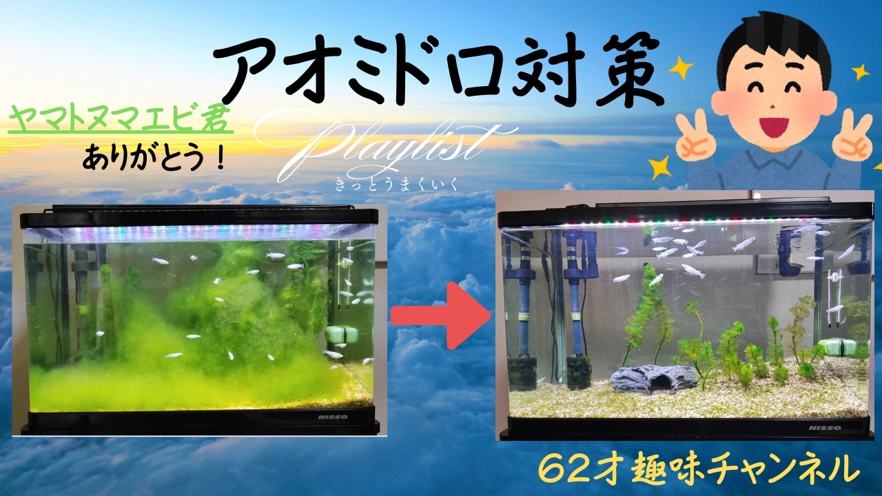 アオミドロ対策 2