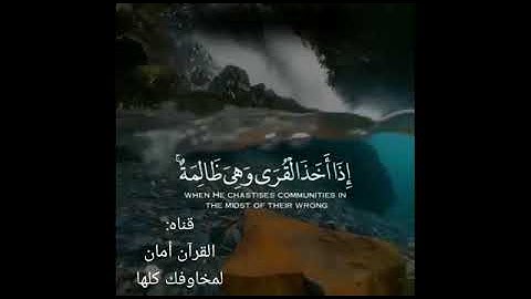 القرآن روح الحيَـاه وحياة الروح ، لايضيّق من تدّبر آياته و لايشقى من قام به🍀💚.