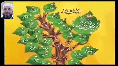 من سورة الروم 8-11 بصوت الشيخ محمود المبيض