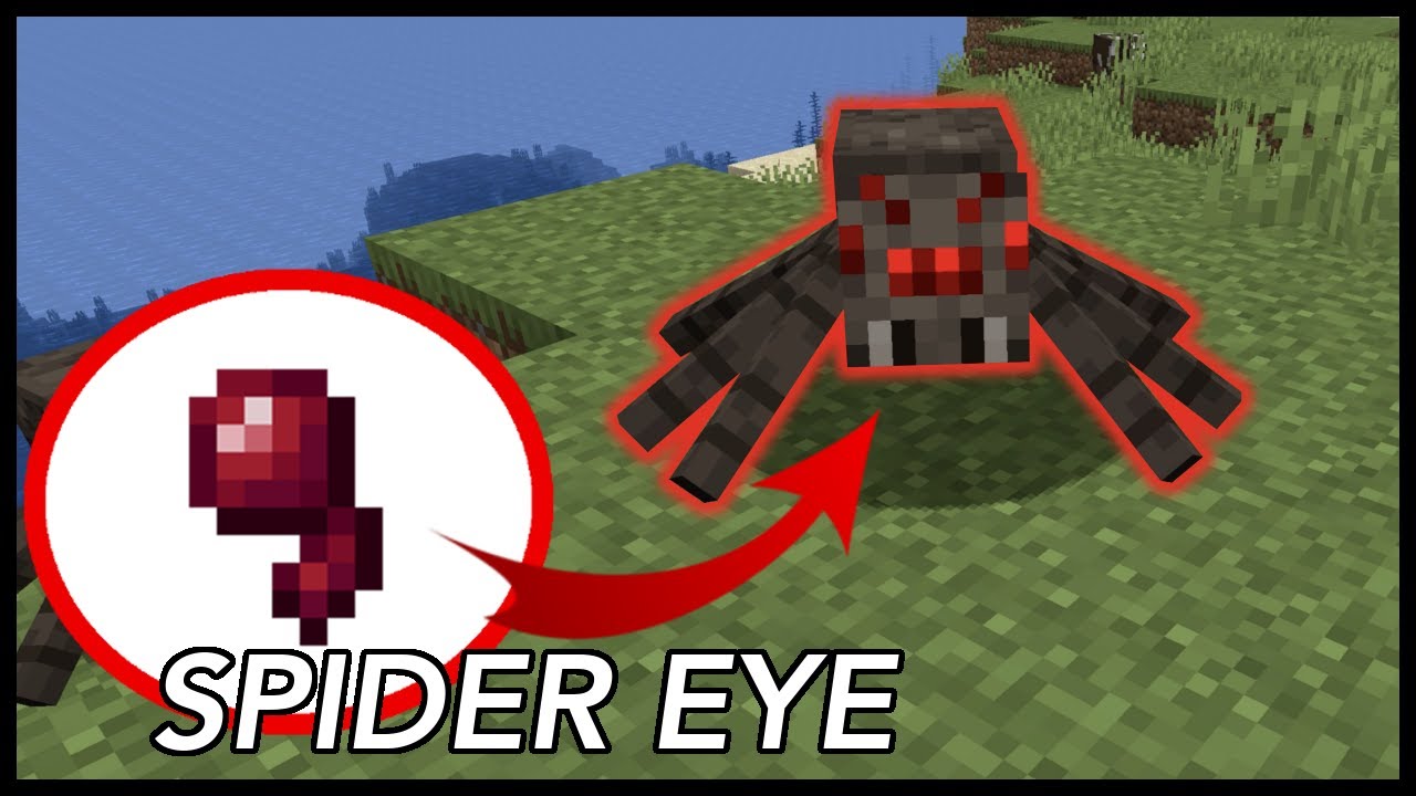 How To Use Spider Eye In Minecraft - YouTube