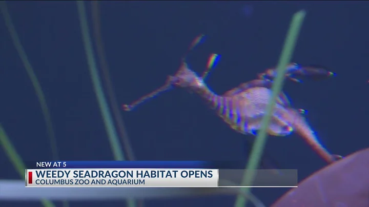 Columbus Zoo and Aquarium reopens nocturnal building - DayDayNews