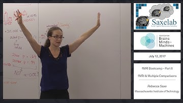 fMRI Bootcamp Part 8 - fMRI & Multiple Comparisons