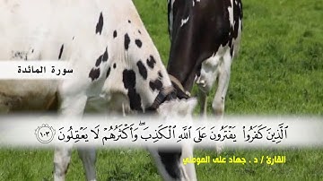 سورة المائدة من ( ايه 97 ) الى (ايه 108 ) بصوت القارئ د.جهاد المومني