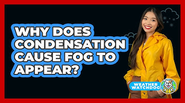 Why Does Condensation Cause Fog To Appear? - Weather Watchdog