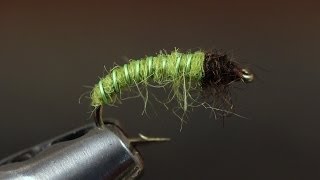 Green Caddis Larva