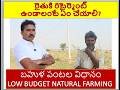బహుళ పంటలు రైతులకి రిటైర్మెంట్ ప్లాన్ ఉండాలంటే ఎలా చేయాలి నేర్చుకున్న పాఠాలను రైతులతో షేర్ చేసుకోవటం