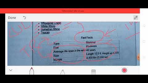 Class X Computer Application 25-09-2020 By Mr. Praveen Singh Ch- HTML