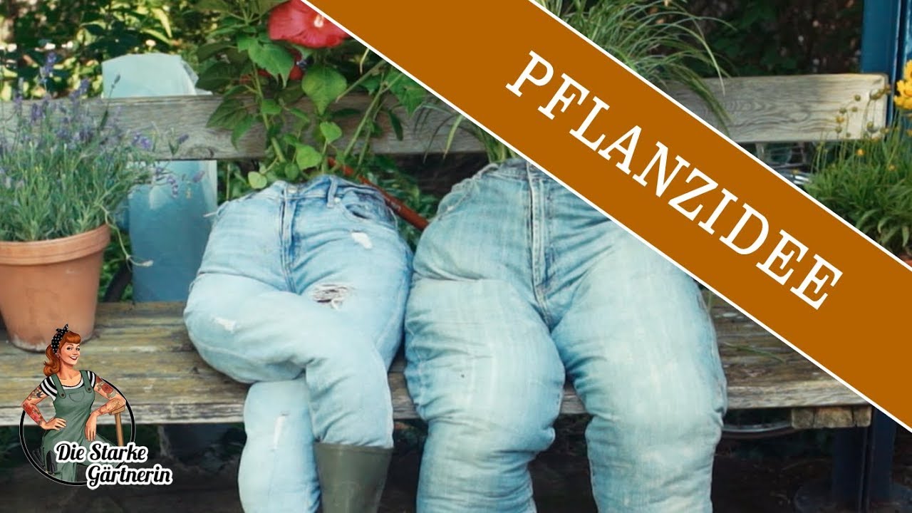 Kreative Pflanzidee Youtube