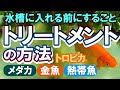 メダカ・金魚・熱帯魚のトリートメント方法とは！水槽に入れる前の処置4つ紹介！