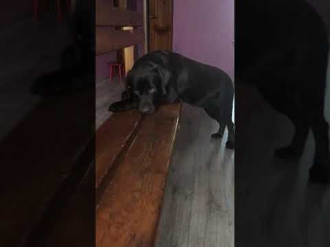 Что делать если у тебя  депрессия 🙂