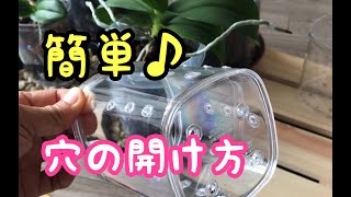 【胡蝶蘭】プラスチックポットの穴の開け方＆虫対策