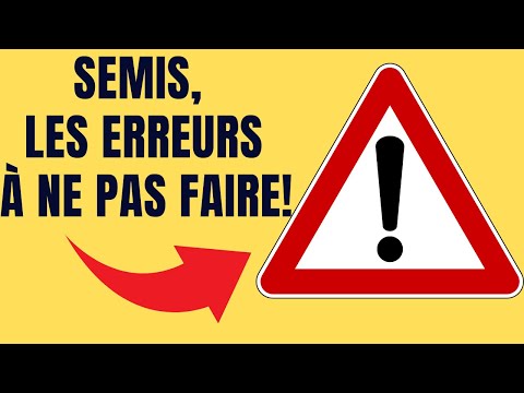 Vidéo: Les Semis Sont Arrachés. Ce Qu'il Faut Faire?
