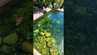 Piscina natural en Jarandilla de la Vera #extremadura