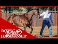 Clinton Anderson: How to Begin Liberty Work at the Ranch Rally - Downunder Horsemanship