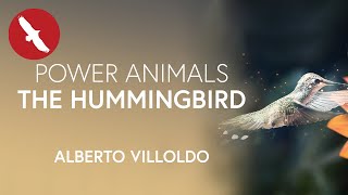 Power Animals - THE HUMMINGBIRD - Alberto Villoldo