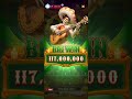 WILD BANDITO