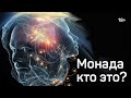 Монада кто это? Отрывок с курса обучения.