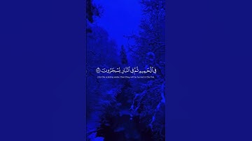 الشيخ ياسر الدوسري سورة غافر