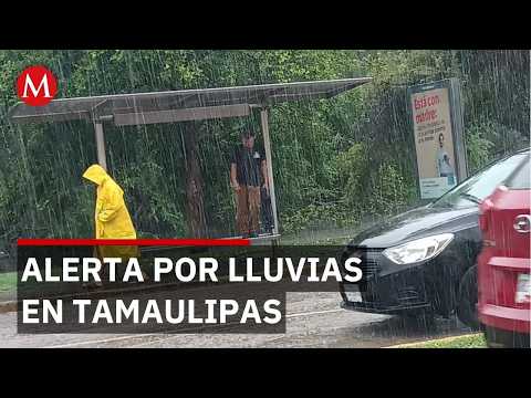 Colapso en Tamaulipas: lluvia de 2 horas genera inundaciones y salida de cocodrilos