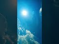 Nile Aasman рџ рџ ё Youtube Short Video рџ ё Nile Aasman рџ рџ ё Youtube Short Video рџ ё