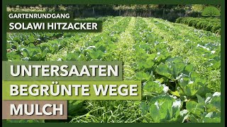 Undersowing, green paths & mulch in the market garden | SoLaWi Hitzacker | Garden tour 1