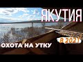 Охота на уток в Якутии. Турпан, лето 2021, природа Якутии, Айхал