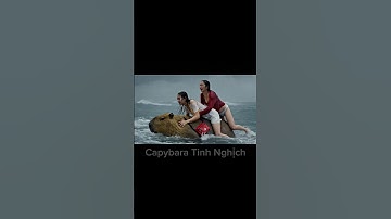 Capy dũng cảm ❤️ cứu 2 chị đẹp bị lật tàu ❤️#capybara #capybaratinhnghich #xuhuong