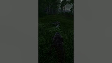 Speed Hacker caught in 4k