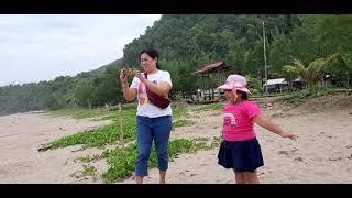 keindahan pantai soge