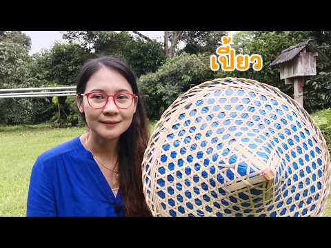 #ไปเที่ยวพัทลุง #ทะเลน้อย #บัวแดง #ควายน้ำ #ล้านบัวรีสอร์ท #สวนสะละลุงถัน