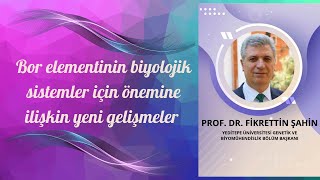 Bor Hakkında Yeni Şeyler Borik Asitten Daha İyi Bor Bileşikleri Var.