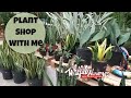 Houseplant Shopping at Whitfill Nursery | Local Nursery Plant Shopping