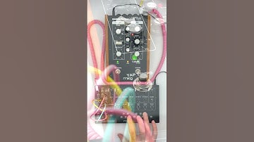 Moog Mavis and MOOGERFOOGER Delay