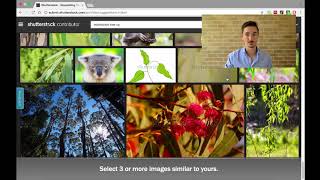 License your photos online: Create photographs that sell : Keywords made effortless
