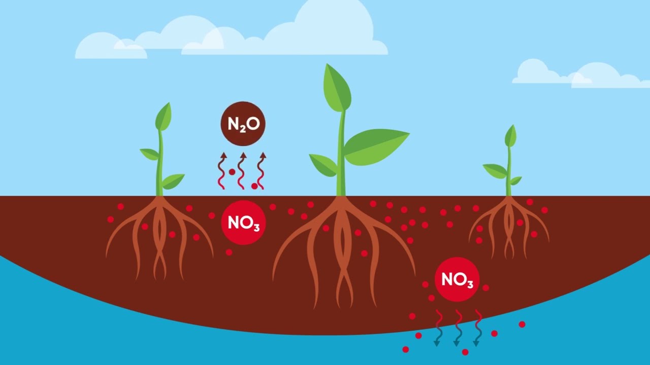 It's time to think differently about nitrogen