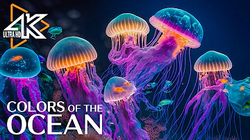 The Ocean 4K - Captivating Moments with Jellyfish and Fish in the Ocean - Relaxation Video #2