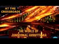 Episode 8 At the Crossroads -The World of Junctional Arrhythmias from Master the Beat, ECG to ACLS