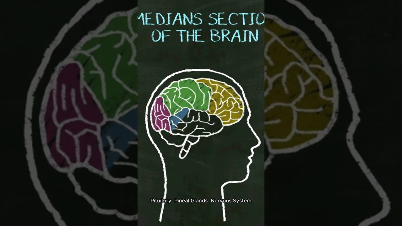 Headaches & Energy Overload: Heal Your Crown Chakra with Spiritual Tools