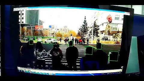 cross road person car detection