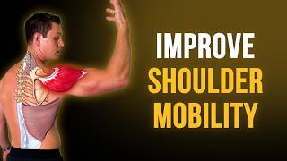 5 Exercises To Improve Shoulder Mobility